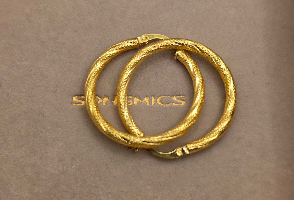 Earrings