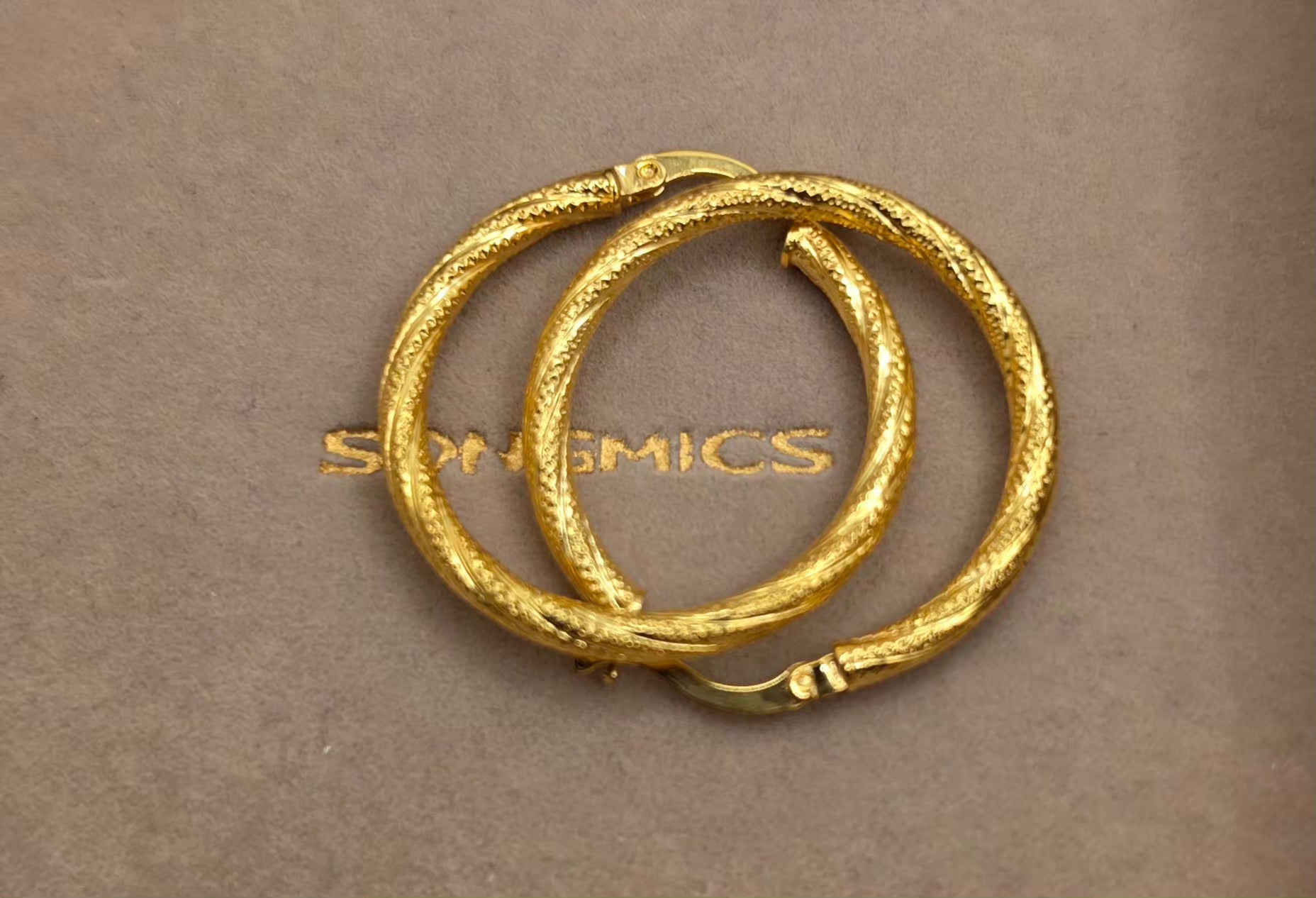 Earrings